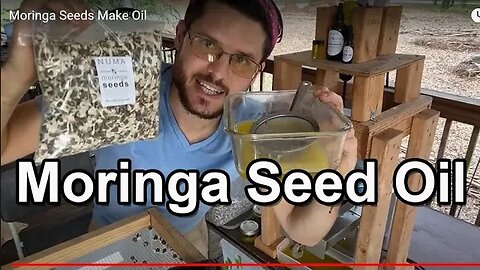 How To Make Moringa Seed Oil | Cold-Press Machine Demonstration