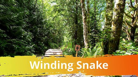 Ucluelet, BC - Winding Snake Trail