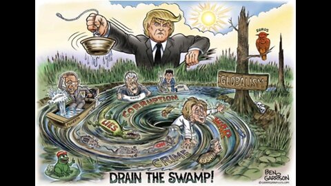 DRAINING THE SWAMP