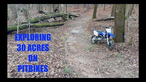 Exploring my Backyard Forrest on My Pit Bike