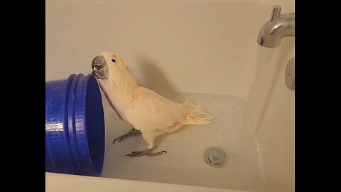 Bathtime