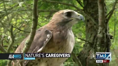 414ward: Nature's caregivers