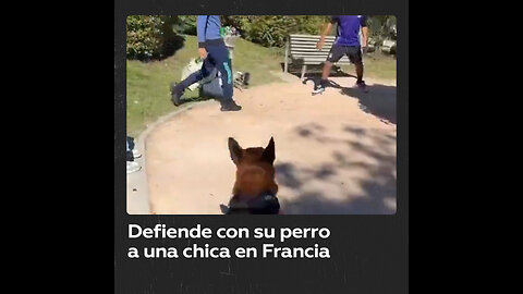 Hombre defiende con su perro a una chica en un parque