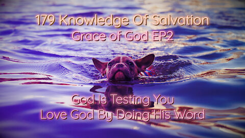 179 Knowledge Of Salvation - Grace of God EP2 - God Is Testing You, Love God By Doing His Word