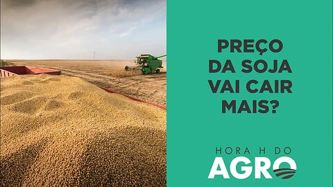 Soja recua quase 10% em março; preço vai cair mais? | HORA H DO AGRO