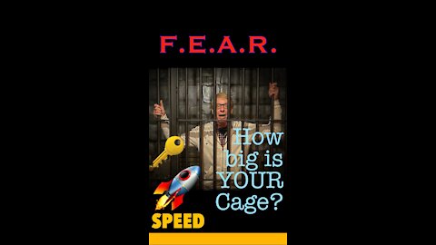 How big is YOUR cage? What fears are holding you back?