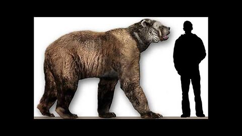 Bear Attack Facts and Footage - Almost Fun Facts About Bears