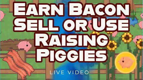 How to Earn Bacon & Sell or Use it Raising Piggies in The Piggy Garden