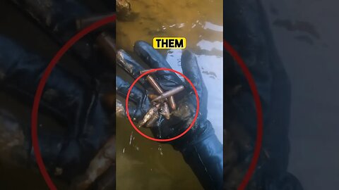 Ammo Box Found Scuba Diving River!! #shorts