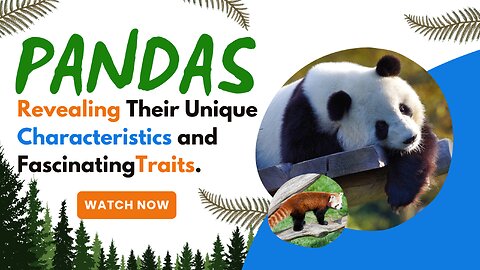 Pandas, Revealing Their Unique Characteristics and FascinatingTraits.