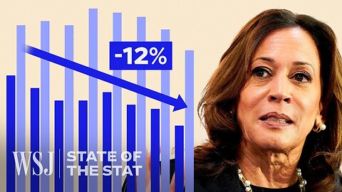 Why So Many Young Men Are Leaving Democrats for Republicans in 2024 | WSJ State of the Stat