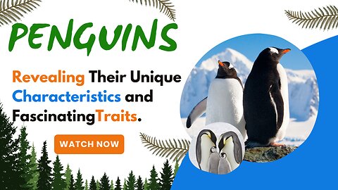 Penguins, Revealing their unique characteristics and fascinating traits.