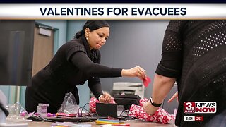 Valentines for Evacuees