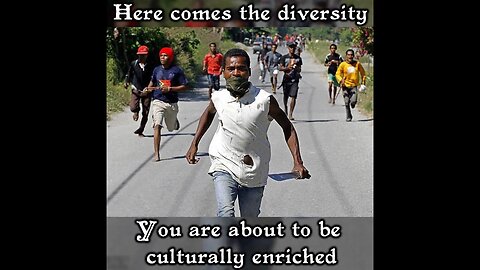 Diversity,Tolerance, We have been Sold out. The Migrants USA and Europe