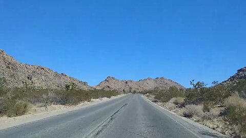 Driving through Joshua Tree National Park.