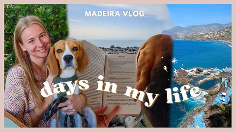 Life in MADEIRA (Vlog) | Sunday morning stroll in FUNCHAL, Slow Living 🌺✨ (real life, non touristy)