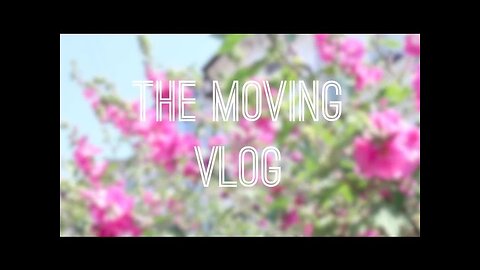 VLOG: Moving! | Suzie Bonaldi