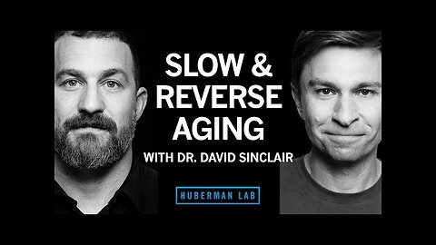 Dr. David Sinclair: The Biology of Slowing & Reversing Aging