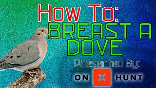 How to Breast a Dove - Outdoor Education Series