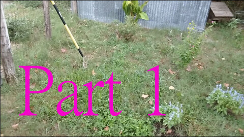 Filling Flower Bed with Clearance Plants