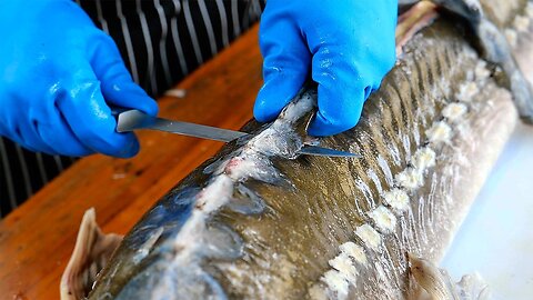 Thai Food - AMAZING STURGEON FISH PREPARATION Bangkok Seafood Thailand