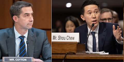 Sen. Cotton VS TIKTOK CEO, Top Tech CEOs Were Being Grilled In Washington By Lawmakers