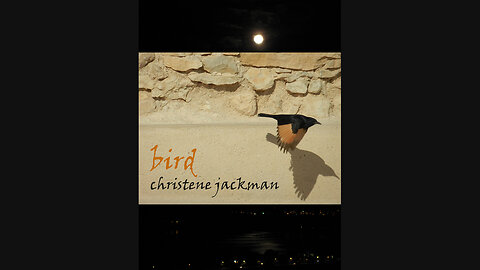 "Bird", Christene Jackman. Based on Psalm 55, Messianic Music for tough times