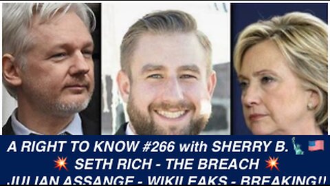 SETH RICH, DNC HACK, JULIAN ASSANGE, “THE BREACH, Murder for Hire Beyond Reasonable Doubt!” Sherry B - ARTK#266