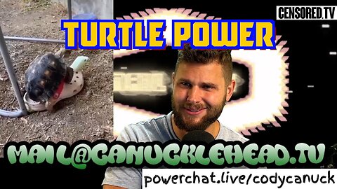 FMR Clips: Turtle Power