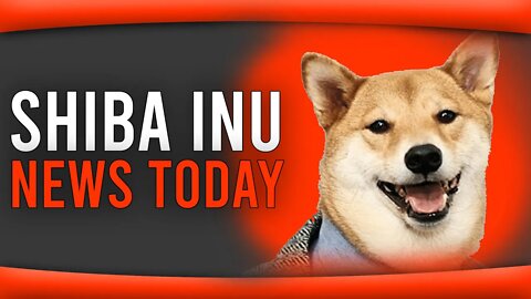 Shiba Inu Coin Updates & latest news!