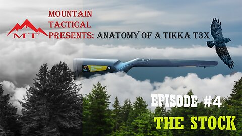 Anatomy of the Tikka T3x - Episode 4: The Stock