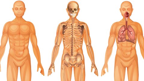 A Boy Ate 25 Laxative Brownies In 1 Hour. This Is What Happened To His Kidneys.