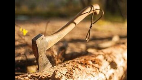 bushcraft / survival camping / woodland camping