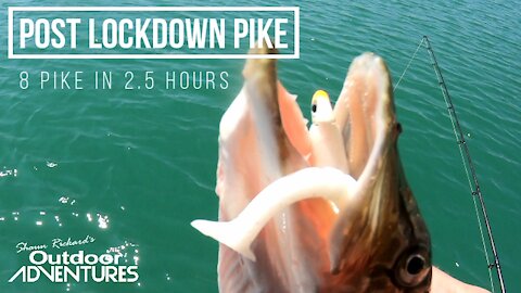 Post Lockdown Pike on Swim Baits & Jerk Baits | Lake Ontario