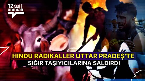 Hindu Radikaller Uttar Pradeş'te Sığır Taşıyıcılarına Saldırdı