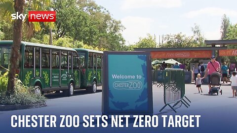 Chester Zoo sets target to reach net zero by 2030