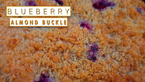 Blueberry Almond Buckle / Coffee Cake