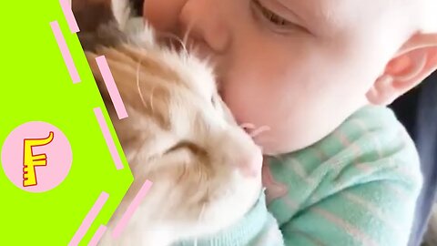 Baby and Cat Funny and Cute - Funny Baby Video