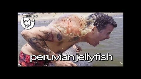 Peruvian Jellyfish Stunt - Steve-O