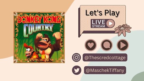 Donkey Kong Country part 4