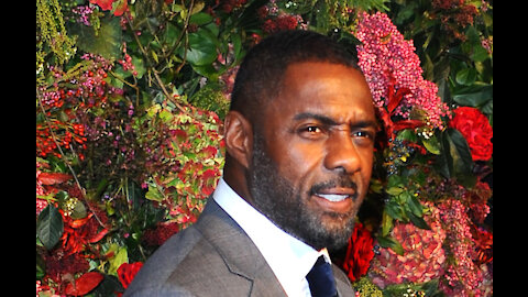 Idris Elba defends Prince Harry and Duchess Meghan's interview with Oprah