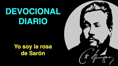 Yo soy la rosa de Sarón (Cantares 2:1) Devocional de hoy Charles Spurgeon