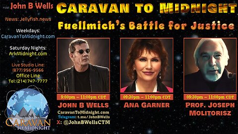 Fuellmich’s Battle for Justice - John B Wells LIVE