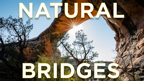 Natural Bridges Photography and Fun