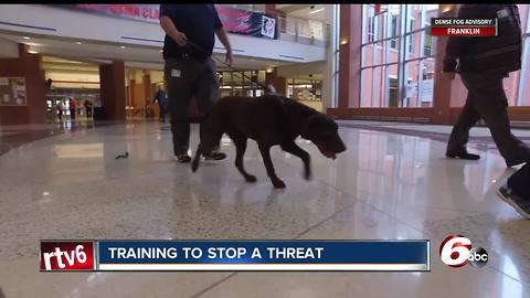 K-9 crimefighters are training to stop a threat, testing skills against bomb threats