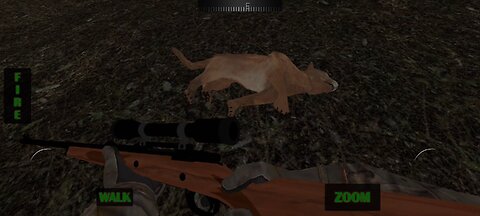 Hunting USA - Mountain Lion