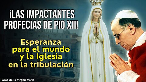 Las Impactantes Profecías de Pío XII ¿Por qué son tan Esperanzadoras para el Mundo y la Iglesia?