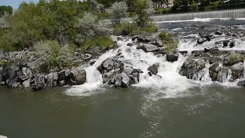 Richard Burdick's Snap Shots, Op. 326 No. No. 5 #idaho Falls #englishhorn , #horn , #harp & #cello