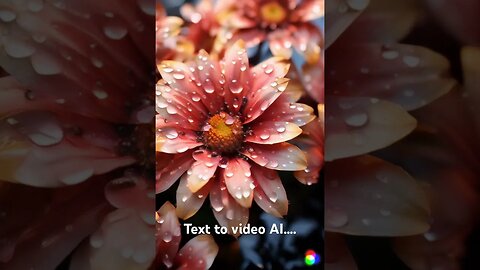 Text to video Ai INSANE