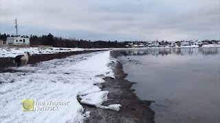 Calm morning on the water in Birchy Bay, NL